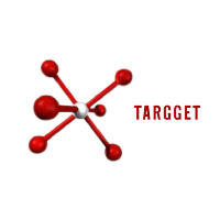 logo_targget_
